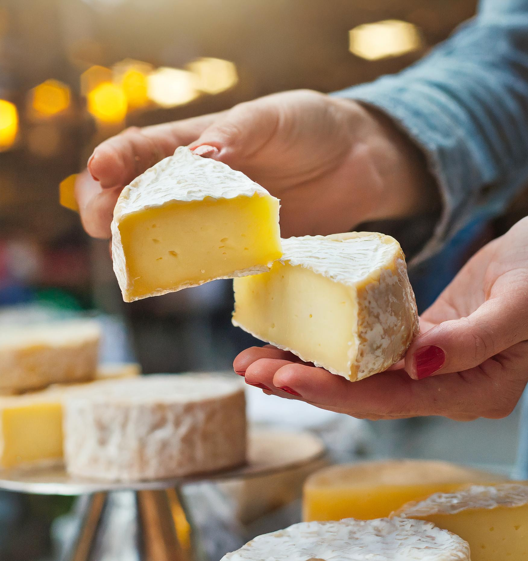 Käse, Molkereiprodukte, Milch